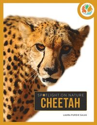 bokomslag Cheetah