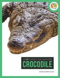 bokomslag Crocodile