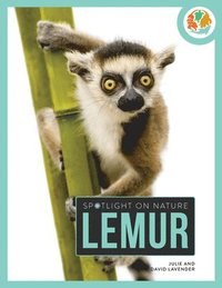 bokomslag Lemur