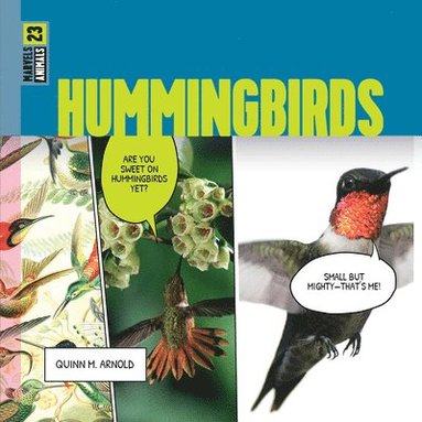 bokomslag Hummingbirds