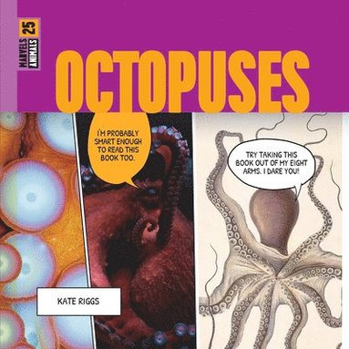 bokomslag Octopuses