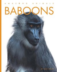 bokomslag Baboons