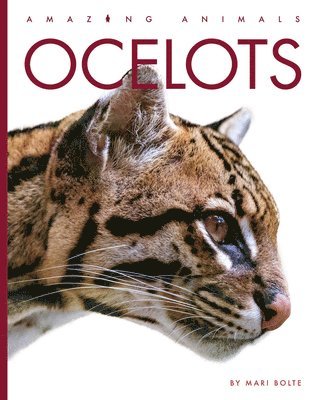 bokomslag Ocelots