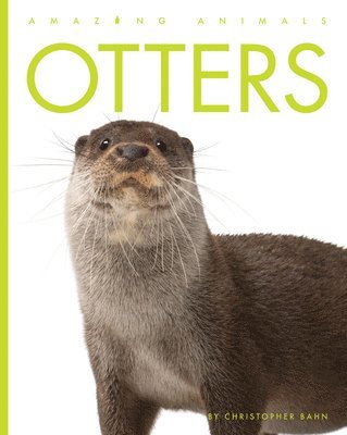 bokomslag Otters