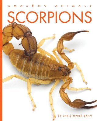 bokomslag Scorpions