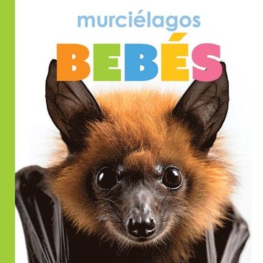 bokomslag Murcielagos Bebes