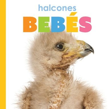 bokomslag Halcones Bebes