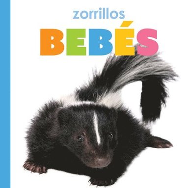 bokomslag Zorrillos Bebes
