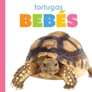 bokomslag Tortugas Bebés