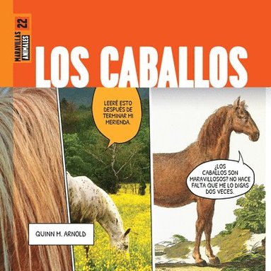 bokomslag Los Caballos