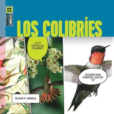 bokomslag Los Colibries
