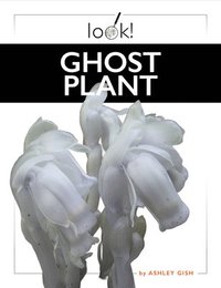 bokomslag Ghost Plant