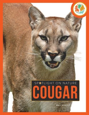 bokomslag Cougar