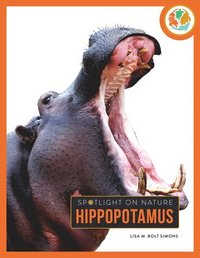 bokomslag Hippopotamus