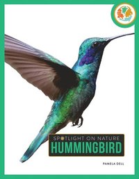 bokomslag Hummingbird