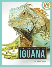 bokomslag Iguana