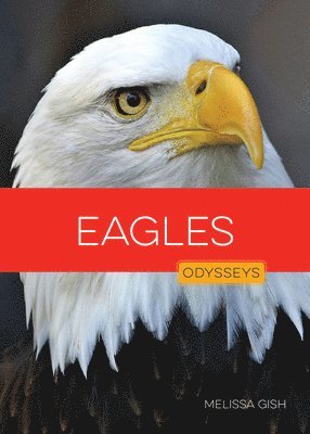 bokomslag Eagles