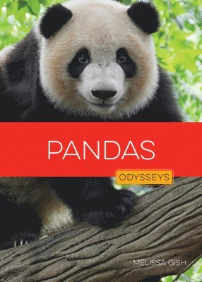 bokomslag Pandas