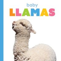 bokomslag Baby Llamas