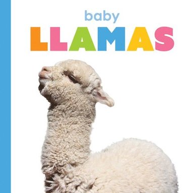 bokomslag Baby Llamas
