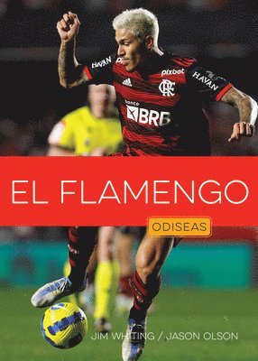 bokomslag El Flamengo