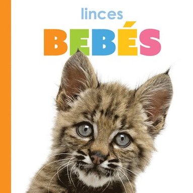 bokomslag Linces Bebés