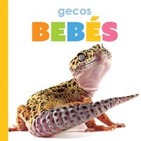 bokomslag Gecos Bebés