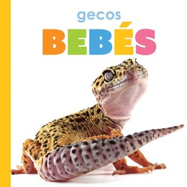 bokomslag Gecos Bebés