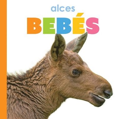 bokomslag Alces Bebés