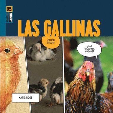 bokomslag Las Gallinas