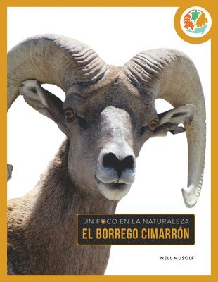 bokomslag El Borrego Cimarrón