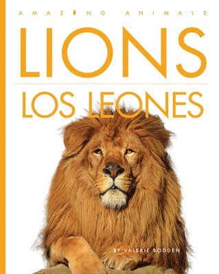 bokomslag Lions / Los Leones