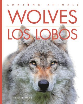 Kate Riggs - Wolves / Los Lobos, Häftad