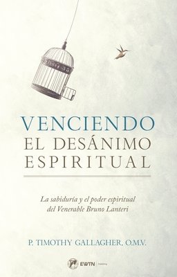 bokomslag Venciendo El Desanimo Espiritual: La Sabiduría Y El Poder Espiritual del Venerable Bruno Lanteri