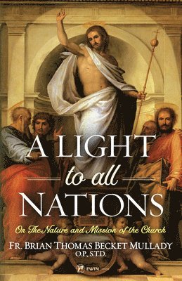 bokomslag A Light to All Nations: On the Nature and Mission of the Church