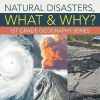 bokomslag Natural Disasters, What & Why?