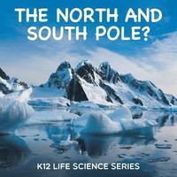 bokomslag North and South Pole?