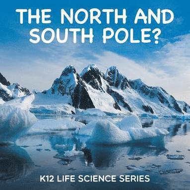 bokomslag North and South Pole?