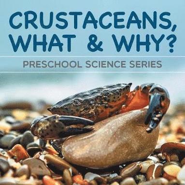 bokomslag Crustaceans, What & Why?