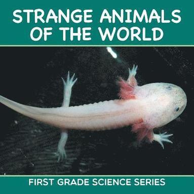 bokomslag Strange Animals Of The World