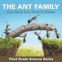 bokomslag Ant Family - Fun Facts You Need To Know