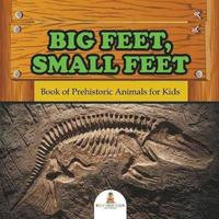 bokomslag Big Feet, Small Feet