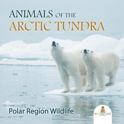 Animals of the Arctic Tundra 1