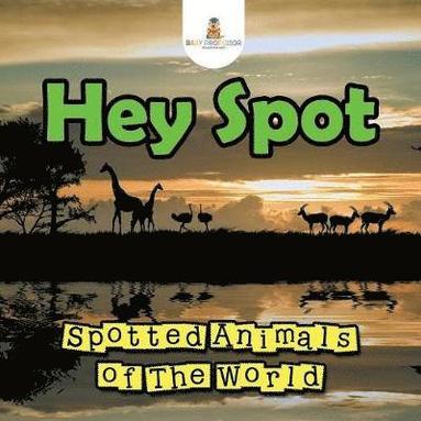 bokomslag Hey Spot