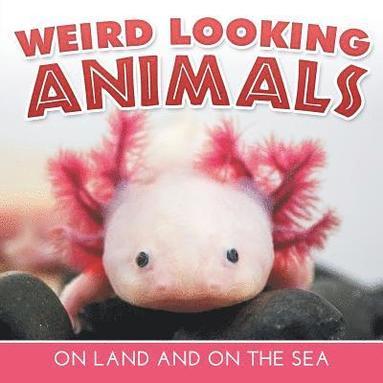 bokomslag Weird Looking Animals On Land and On The Sea