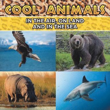 bokomslag Cool Animals