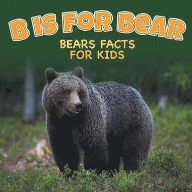 bokomslag B is for Bear