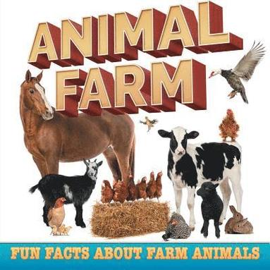 bokomslag Animal Farm