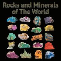 bokomslag Rocks and Minerals of The World