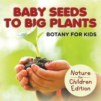 bokomslag Baby Seeds To Big Plants